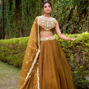 Golden Radiance Festive Lehenga Set